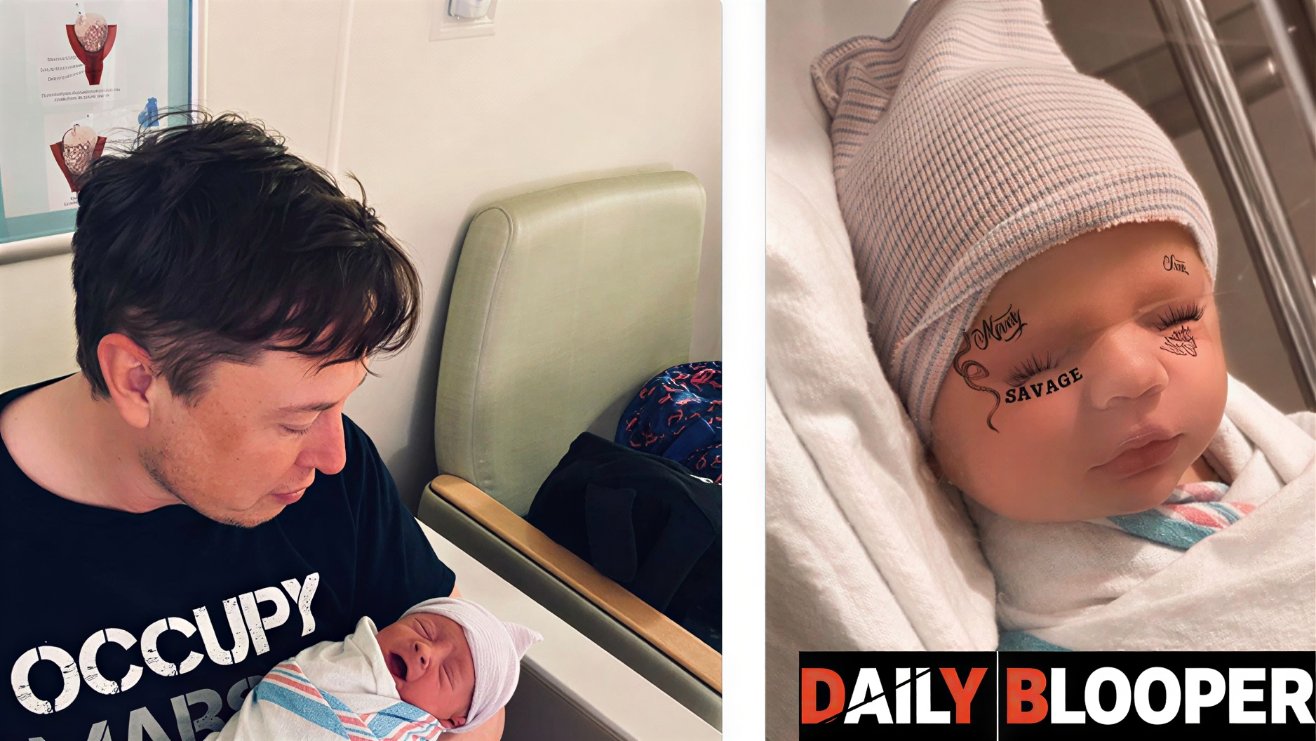 nevada alexander musk